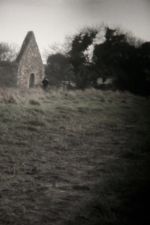Good Evening (2012) poster