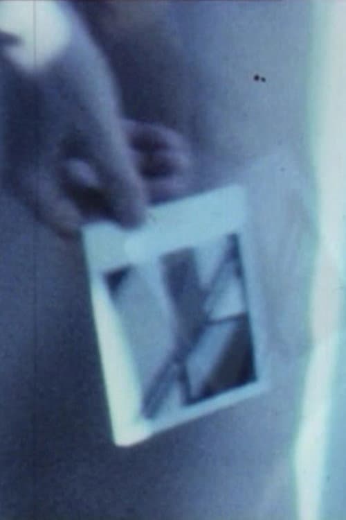 E Dopo? (1981) poster