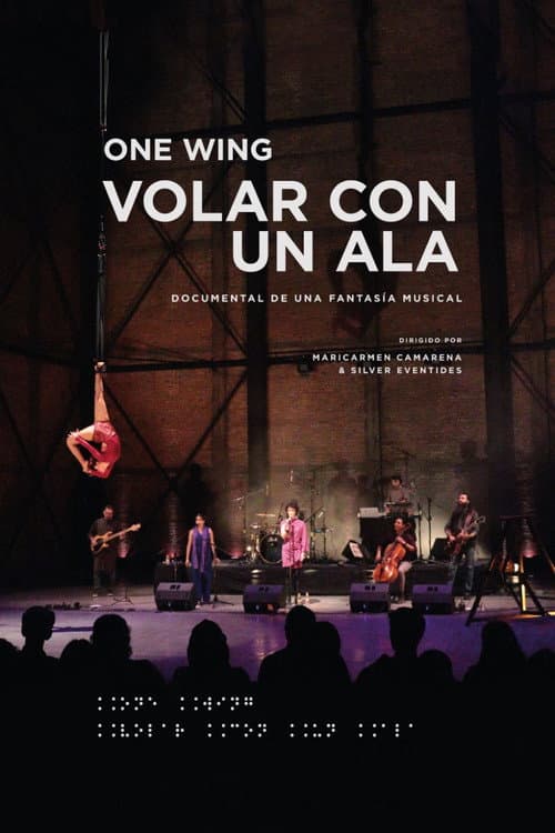 Volar Con Un Ala (2024) poster