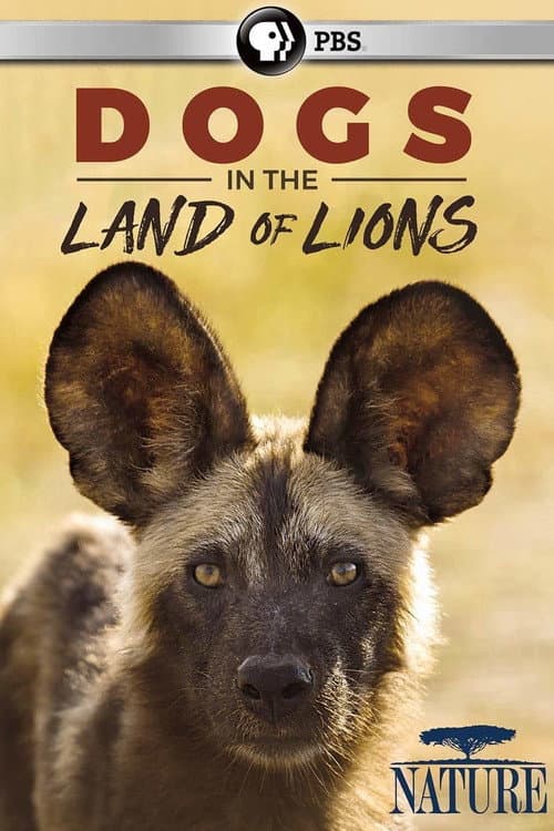 Dogs in the Land of Lions (2018) poster