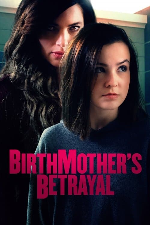 Birthmother's Betrayal (2020) poster