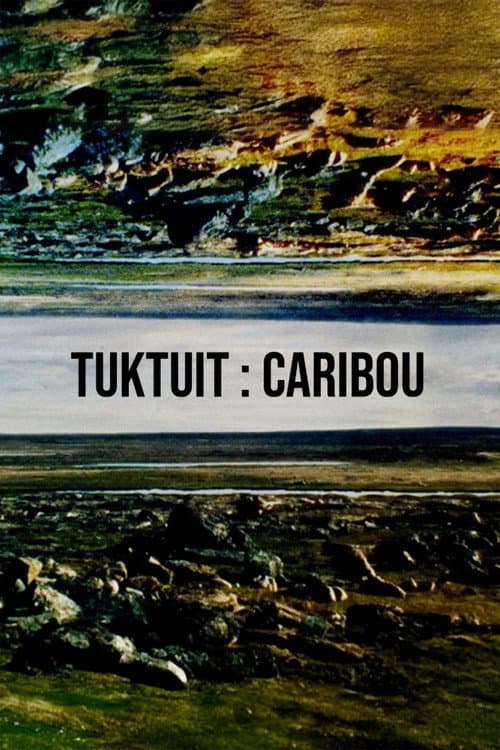 Tuktuit: Caribou (2025) poster