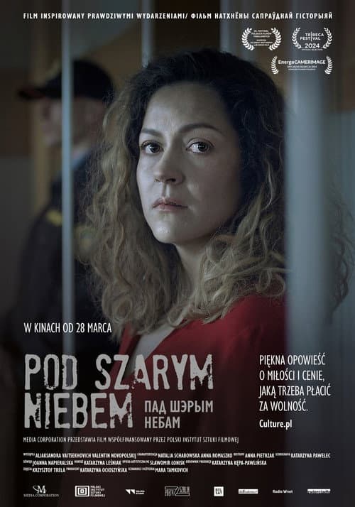 Pod szarym niebem (2025) poster