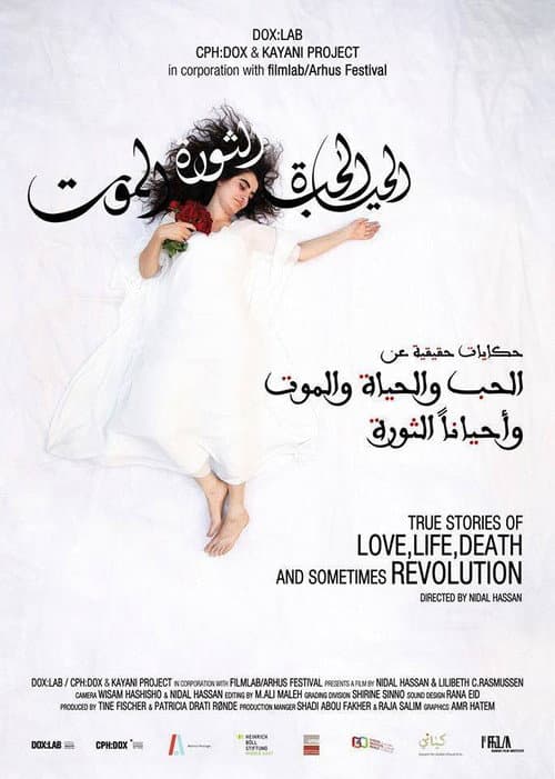 True Stories of Love, Life, Death and Sometimes Revolution () poster