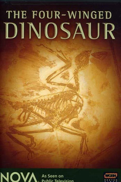 The Four-Winged Dinosaur (2008) poster