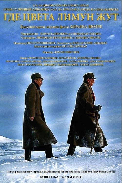 Gde cveta limun žut (2006) poster