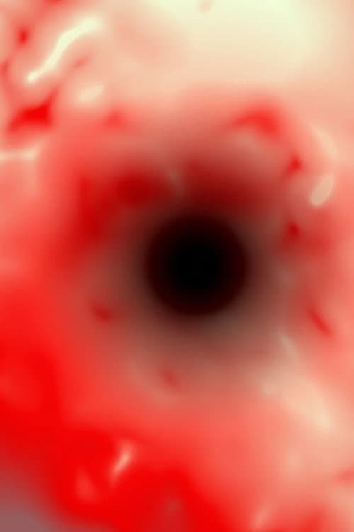 My Structuralist Film (2026) poster