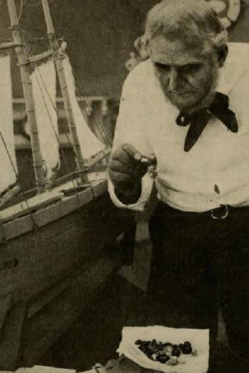 The Treasure Ship (1914) poster