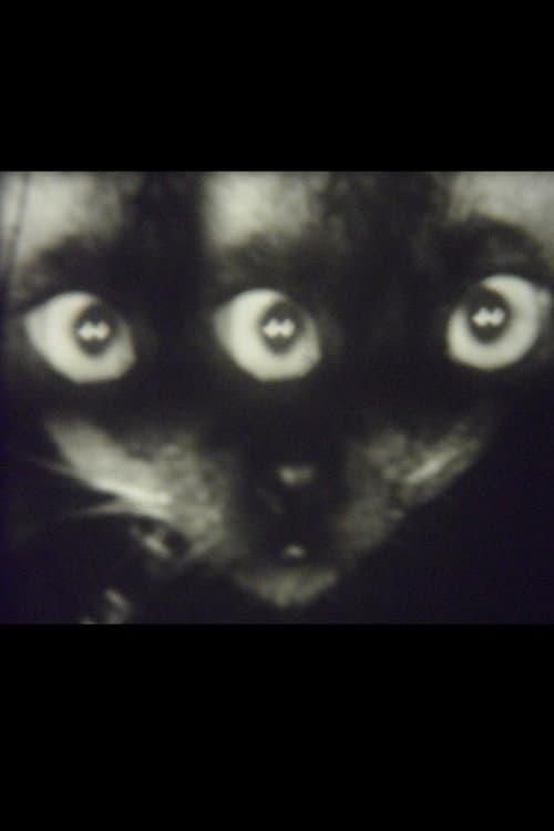 Wee Gee’s Camera Magic (1960) poster