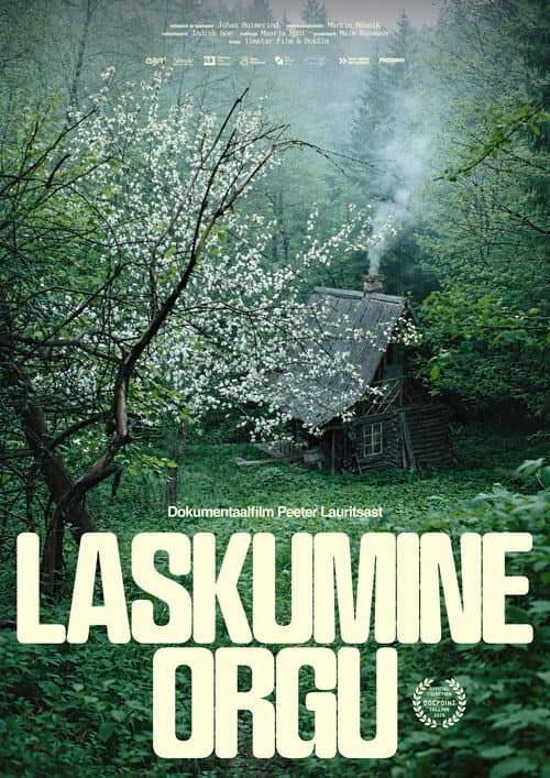 Laskumine orgu (2026) poster