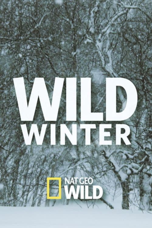 Wild Winter (2016) poster
