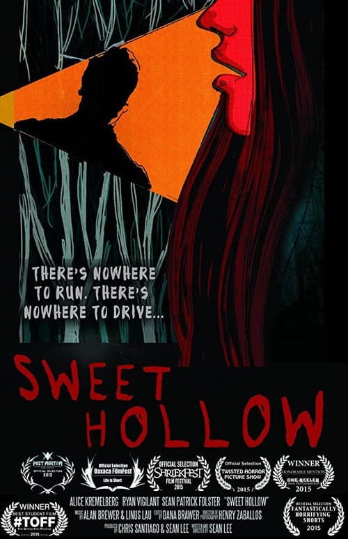 Sweet Hollow (2017) poster