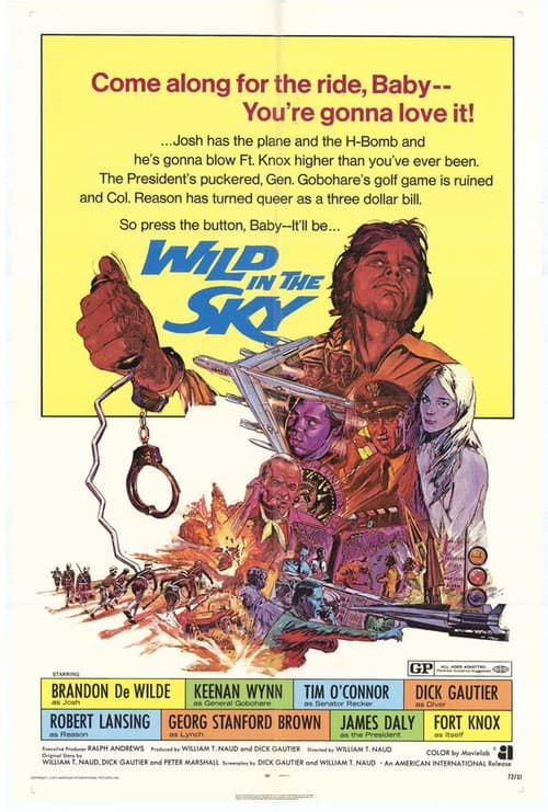 Wild in the Sky (1972) poster