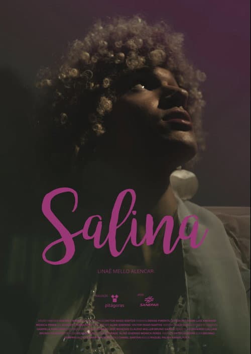 Salina (2020) poster