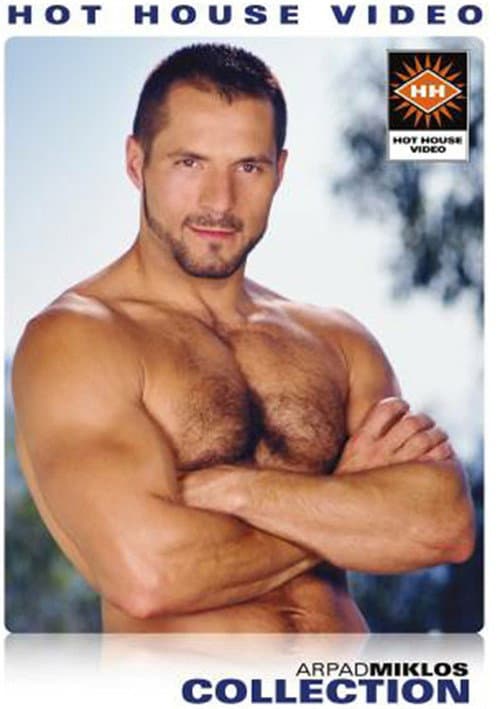 Arpad Miklos Collection (2003) poster