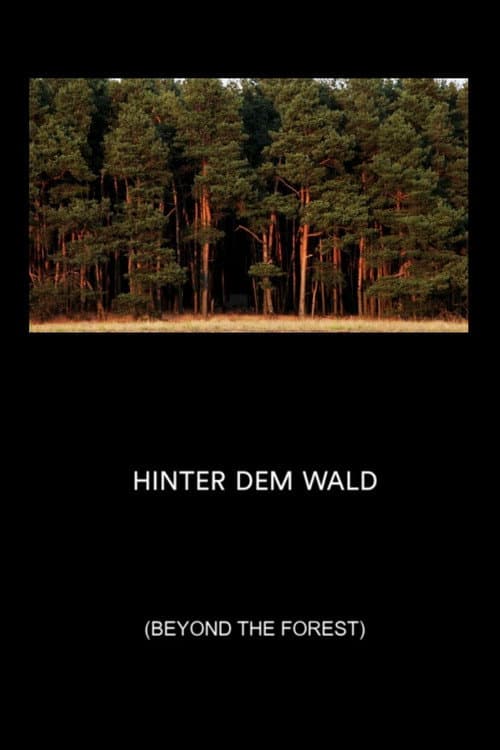 Hinter dem Wald (2015) poster