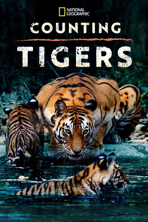 Counting Tigers (2019) poster