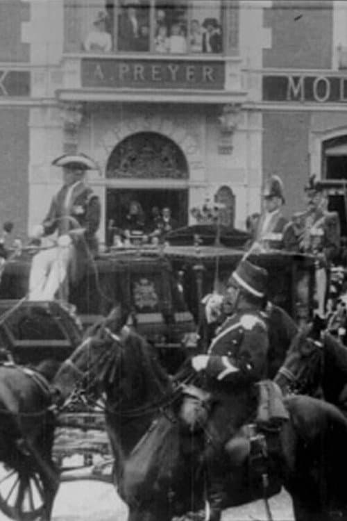 Doopplechtigheid Prinses Juliana, met incident der rijtuigen (1909) poster