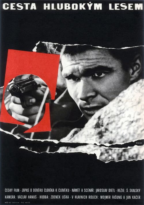 Cesta hlubokým lesem (1964) poster