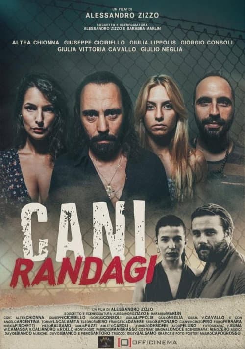 Cani randagi (2023) poster