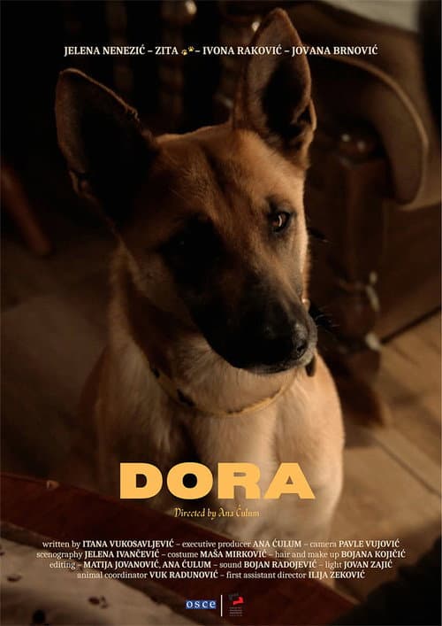 Dora (2023) poster