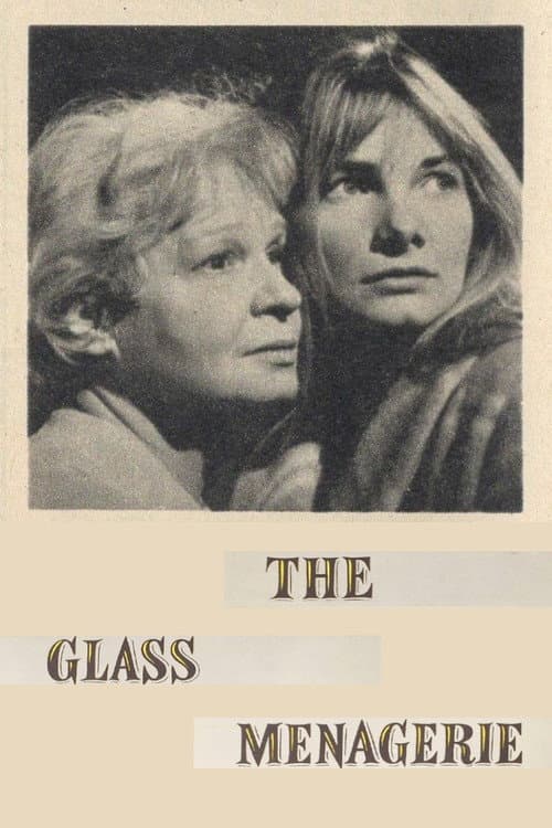The Glass Menagerie (1966) poster