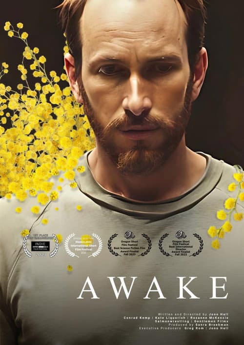 Awake (2023) poster