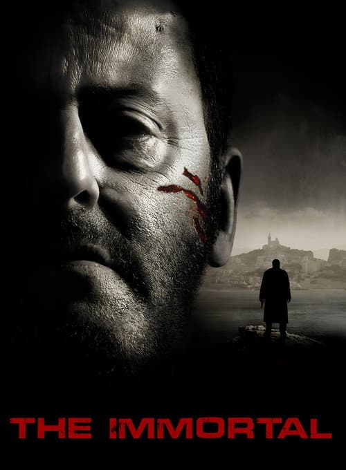 22 Bullets (2010) poster