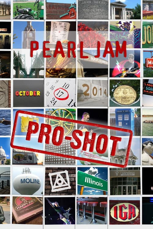 Pearl Jam: Moline 2014 - The No Code Show [Nugs] (2014) poster