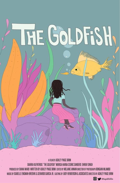 The Goldfish (2021) poster