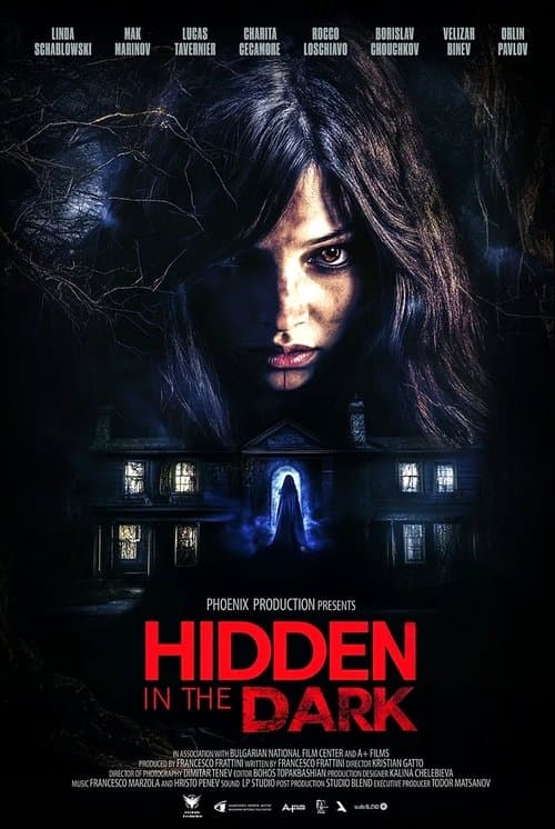 Hidden in the Dark (2025) poster