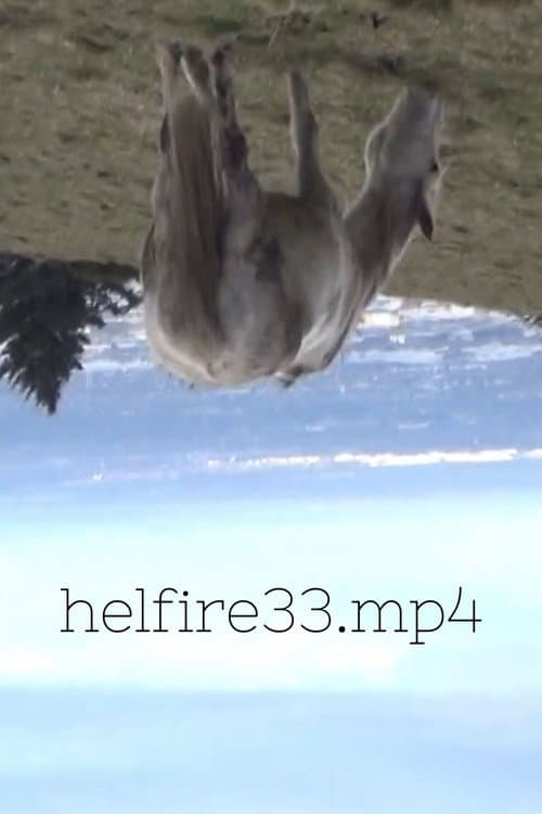 hellfire33.mp4 (2023) poster