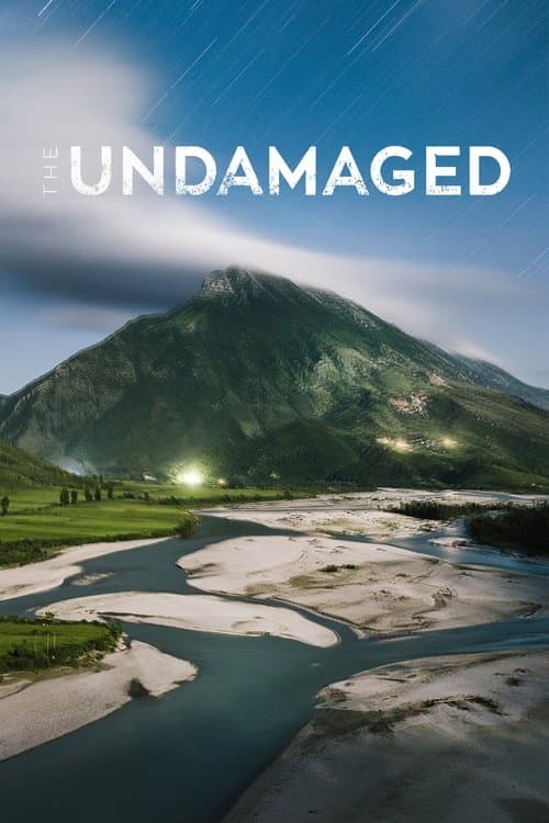 Nepoškodovane (2018) poster