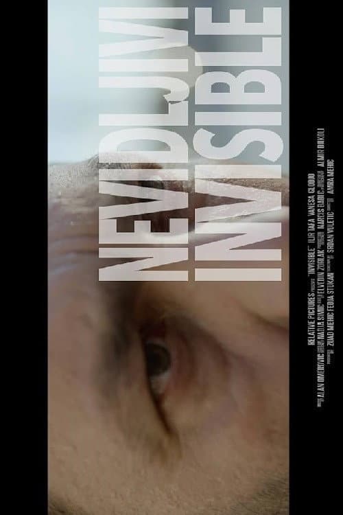 Nevidljivi (2017) poster