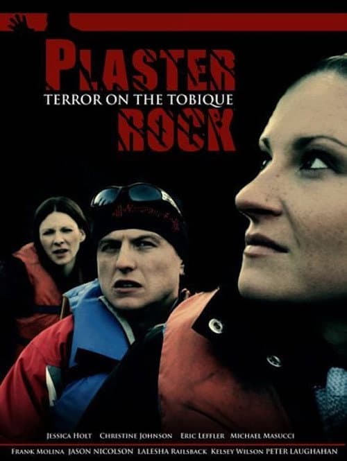Plaster Rock (2010) poster