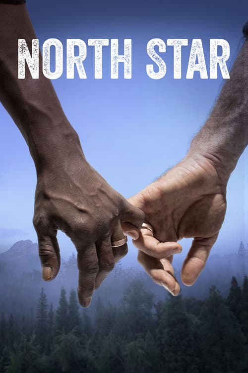 North Star (2022) poster