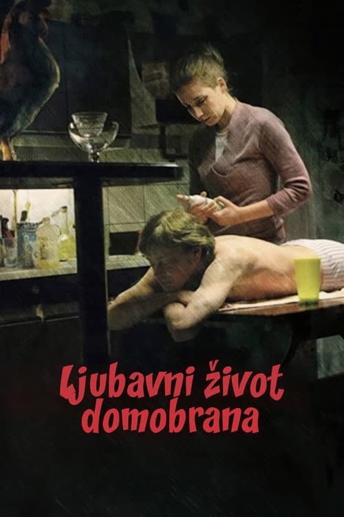 Ljubavni život domobrana (2009) poster