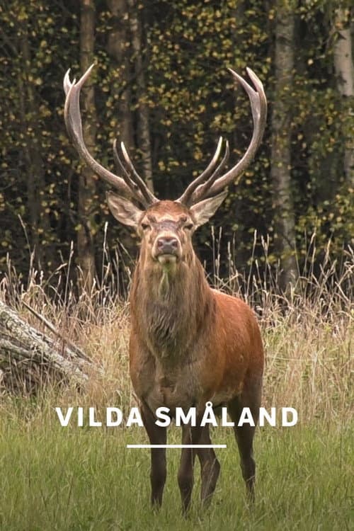 Vilda Småland (2024) poster