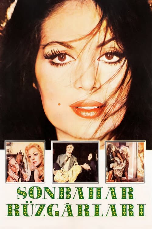 Sonbahar Rüzgarları (1969) poster