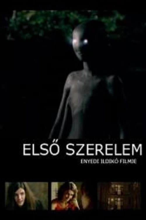 Első szerelem (2008) poster