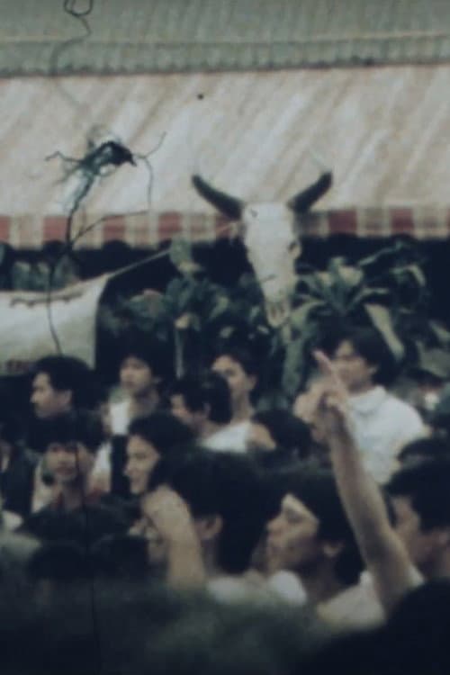Dumi (1990) poster