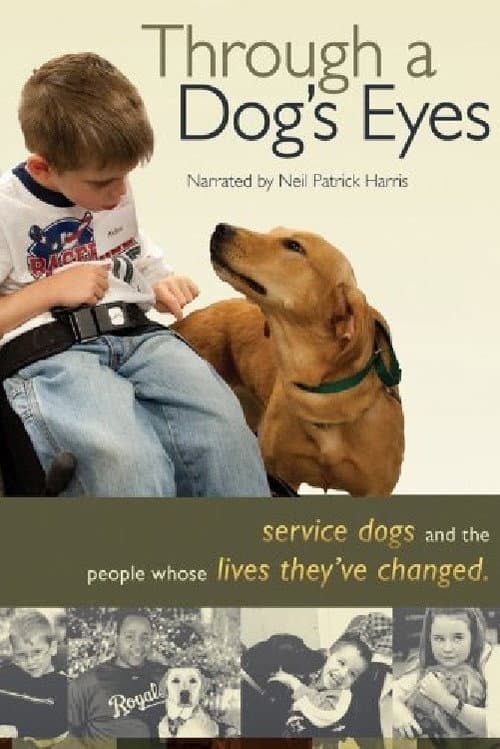 Through a Dog's Eyes (2010) poster