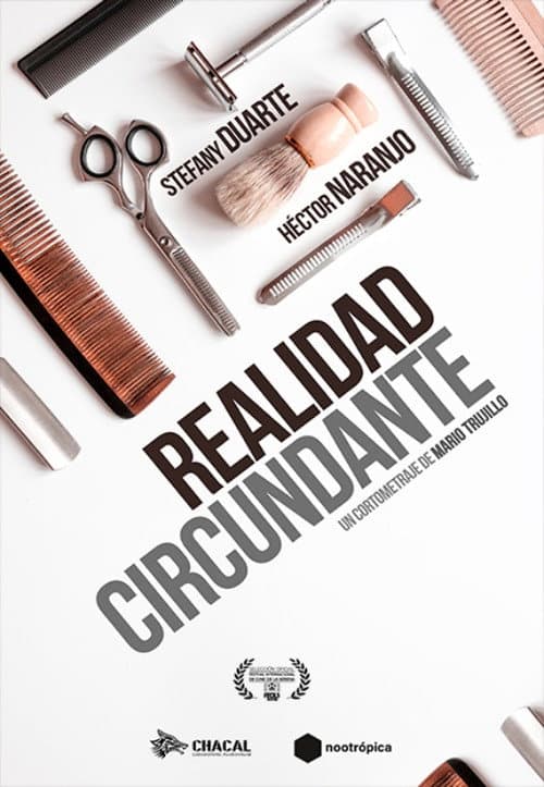 Realidad circundante (2018) poster