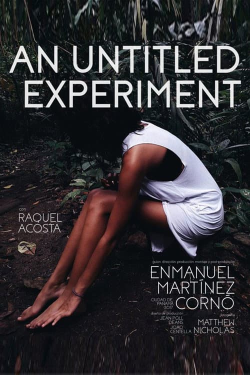 An Untitled Experiment (2017) poster