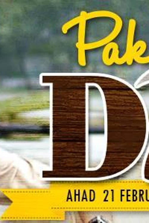 Pak Zain D.I.Y (2016) poster