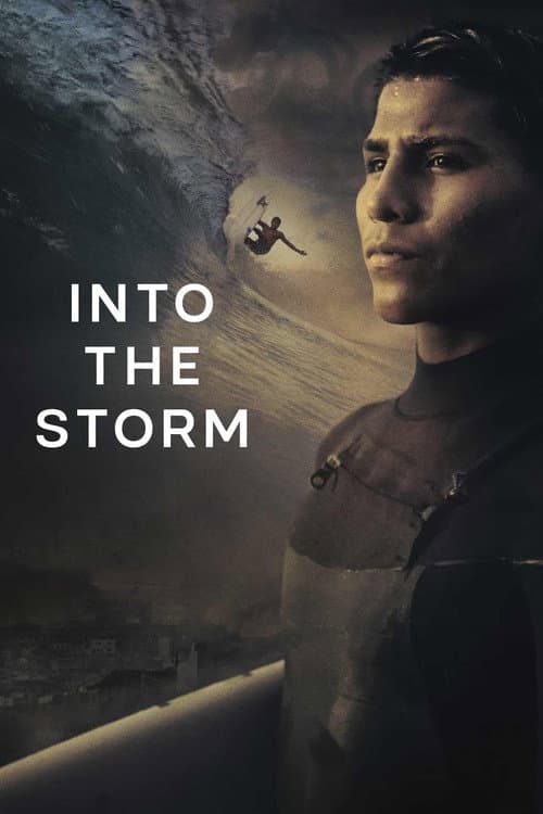 Into the Storm (2020) poster