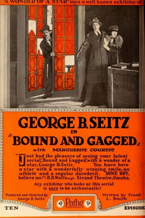 Bound and Gagged (1919) poster