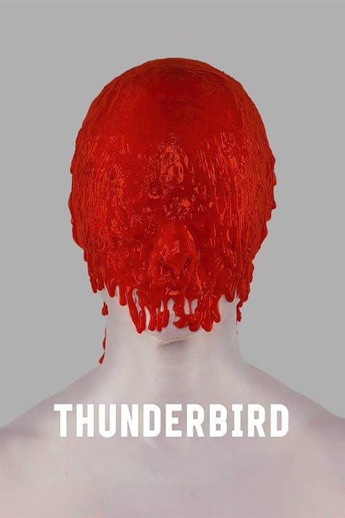 Thunderbird (2019) poster