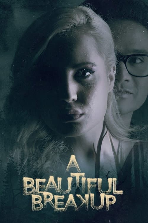 A Beautiful Breakup (2026) poster