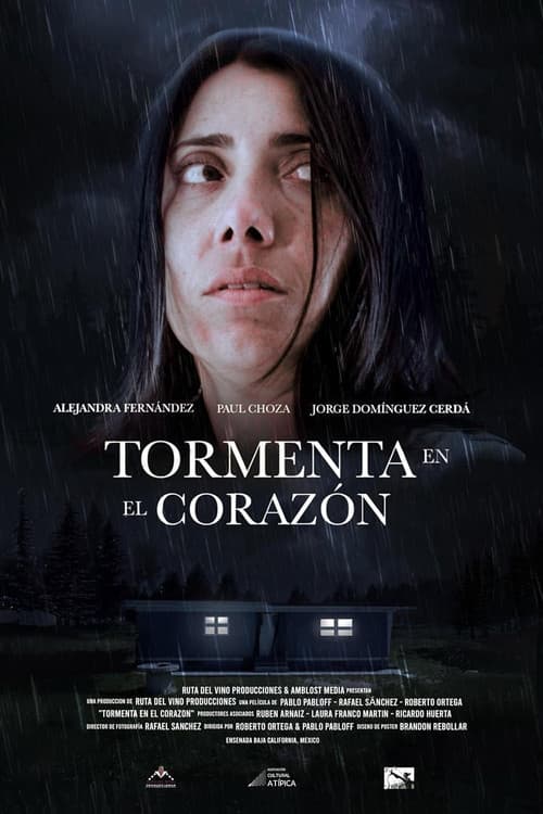 Tormenta en el corazón (2024) poster